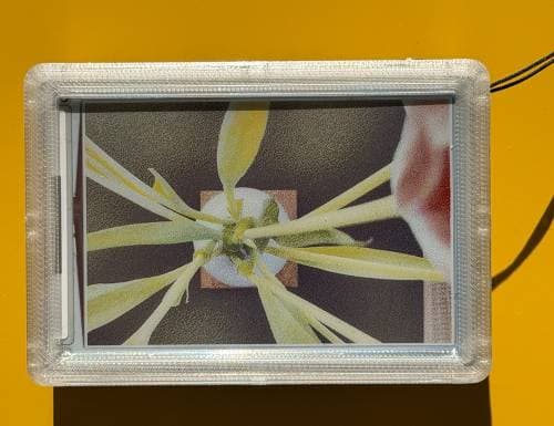 reFrame Camera