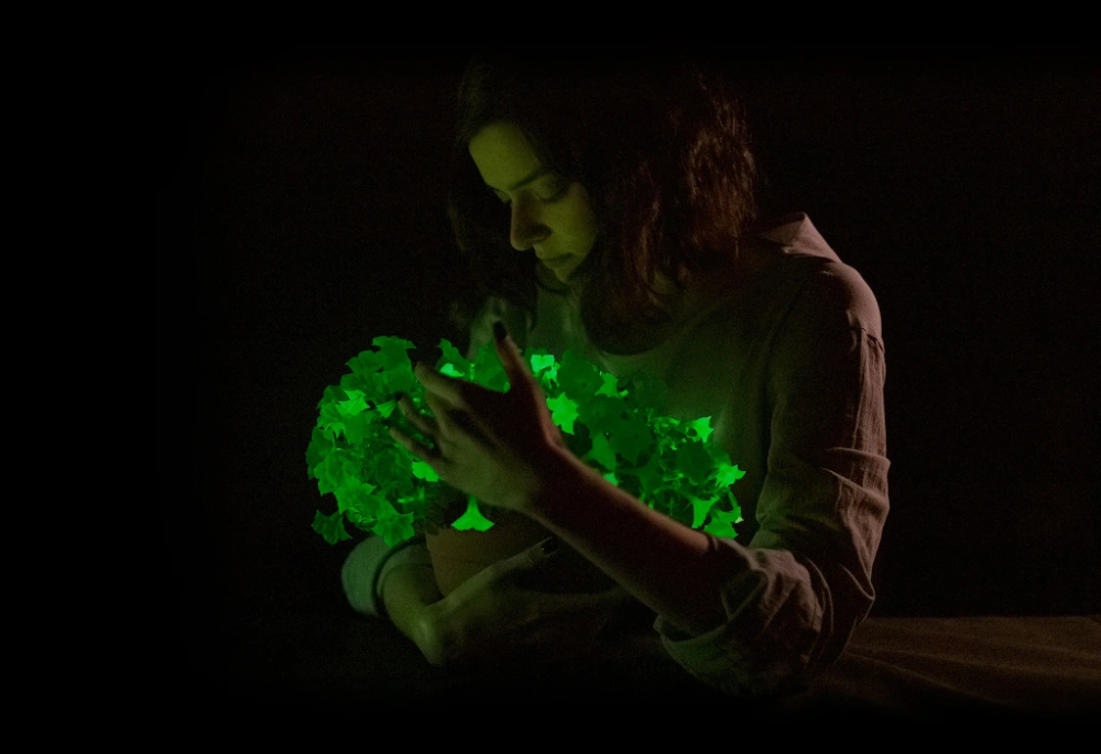 Firefly Petunia
