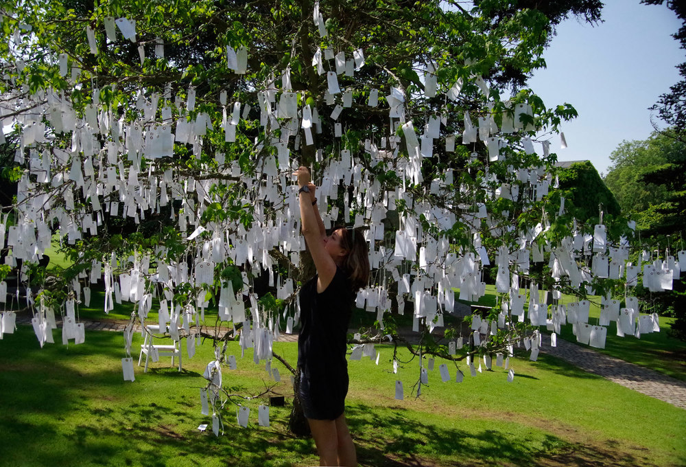 Wish Tree